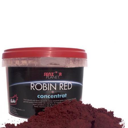 finete - 50dd9ab869c58robin-red.jpg